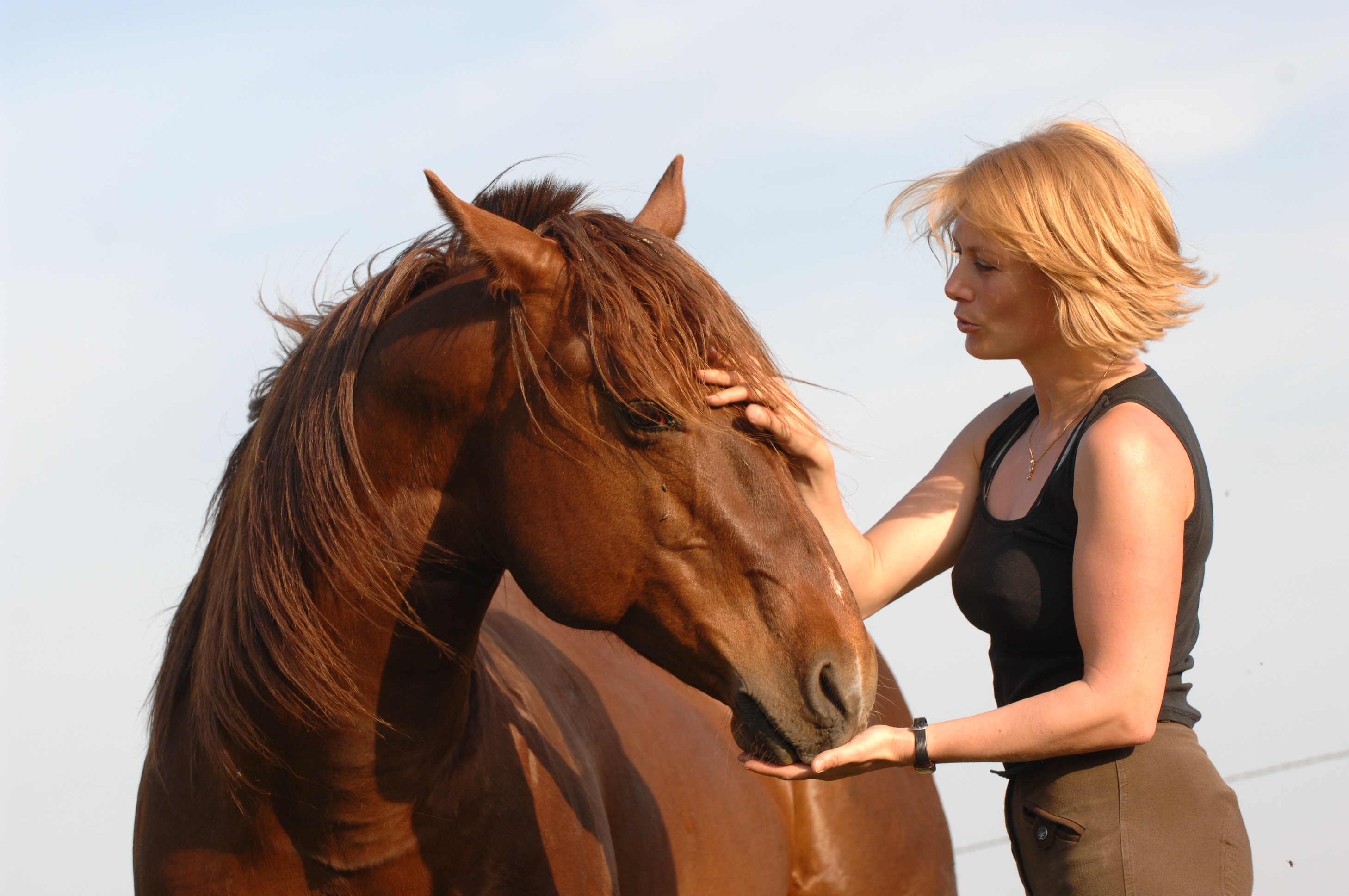 Les nouveaux équipements d'équitation innovants - HorseLab