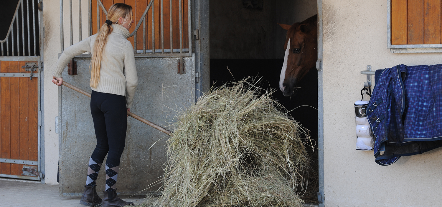Pied - Le siège des échanges mécaniques entre le cheval et le sol
