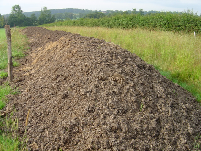 Fertilisation with organic matter : soil enrichement for the pasture