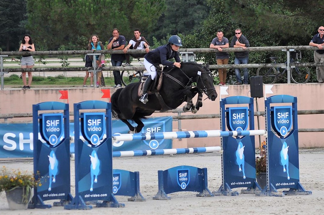 Show-jumping ponies’ genetic index