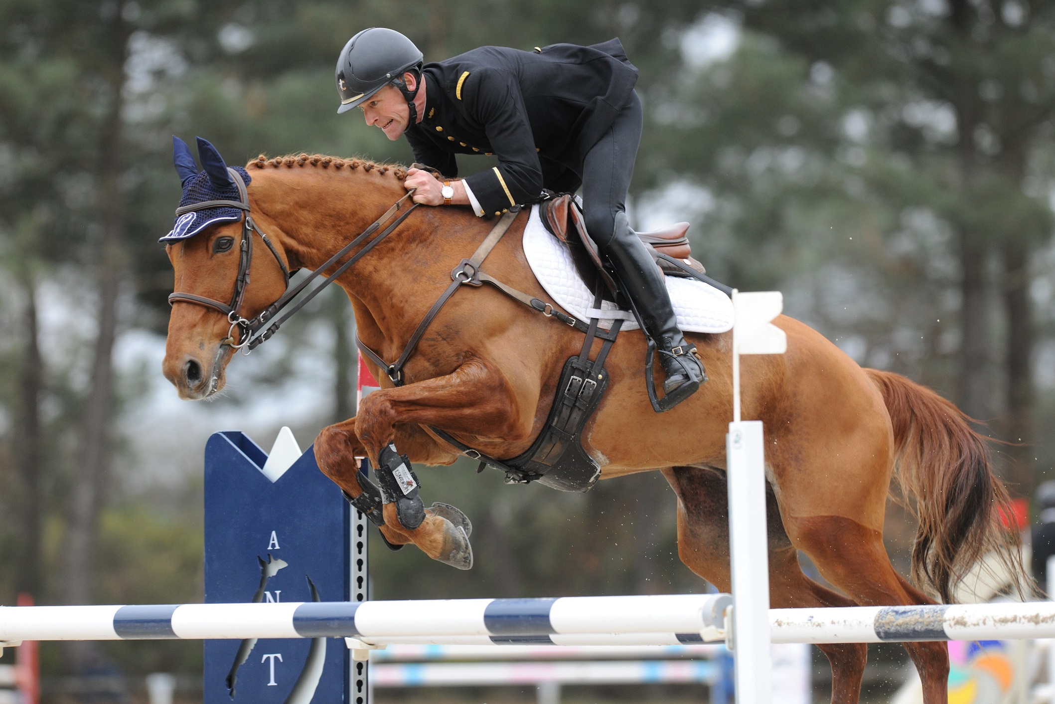 Directory of showjumping sessions