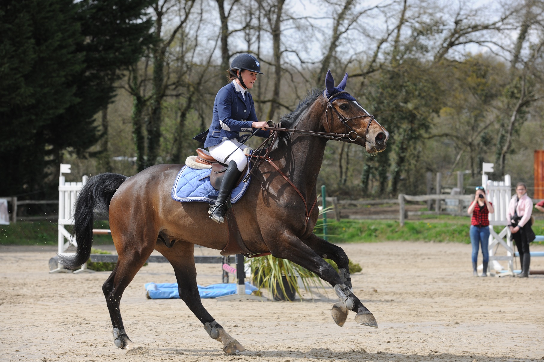 Adapting the amplitude of the horse’s stride for a succession of jumps