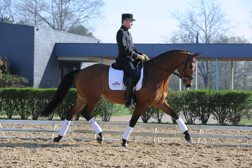Directory of dressage sessions