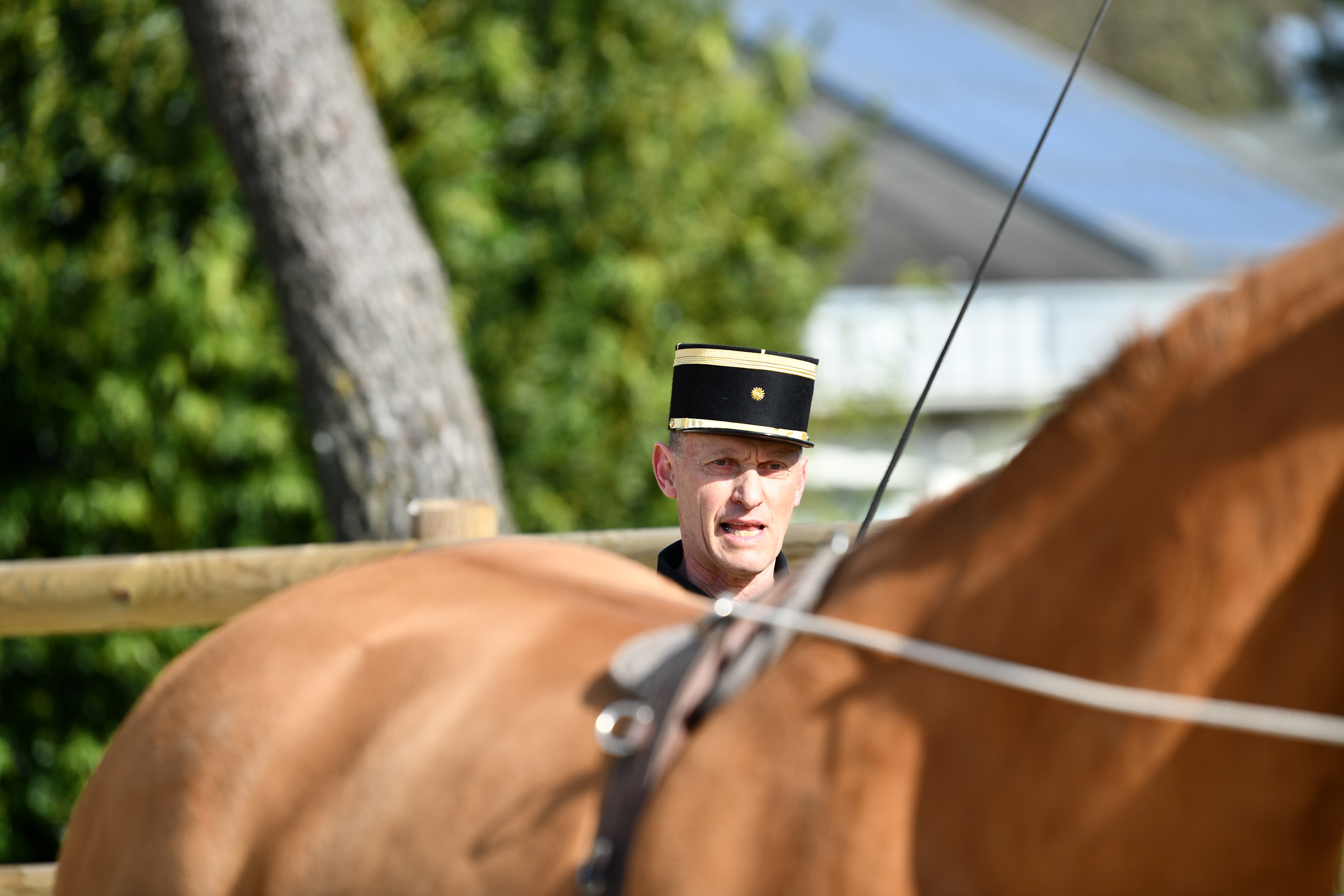 Le livre du nouvel enseignant d'équitation: Une pédagogie durable au  service des cavaliers et des chevaux (French Edition)