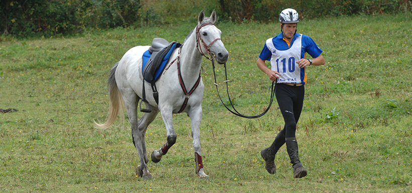 Homme et cheval athlètes : une production de connaissances commune