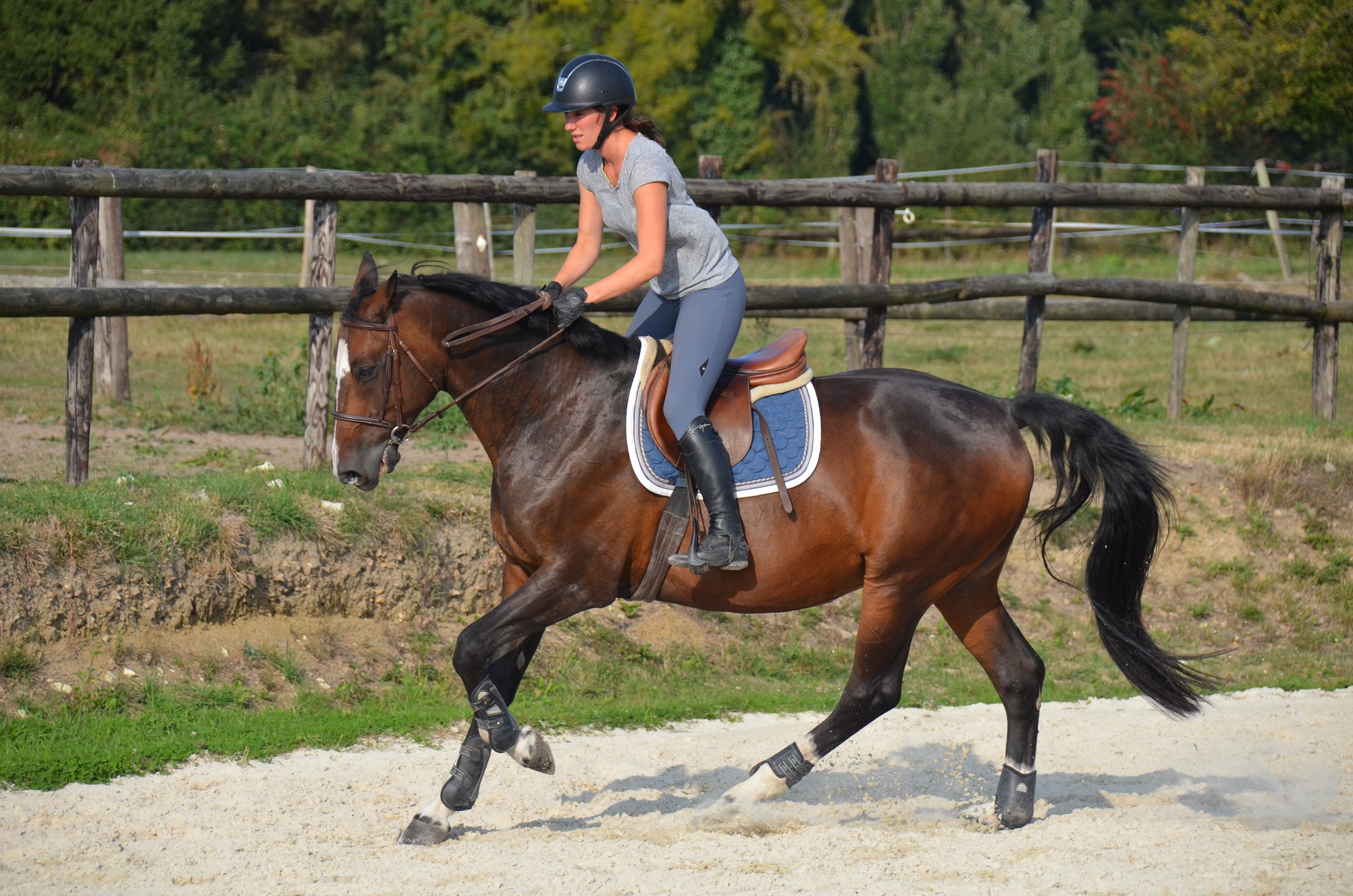 Directory of cantering / galloping sessions