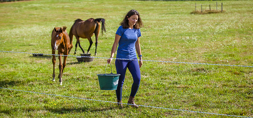 Monitoring grazing horses