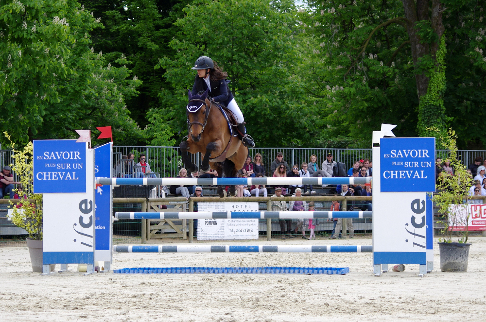 Horse indices : Show-jumping, Eventing, and dressage