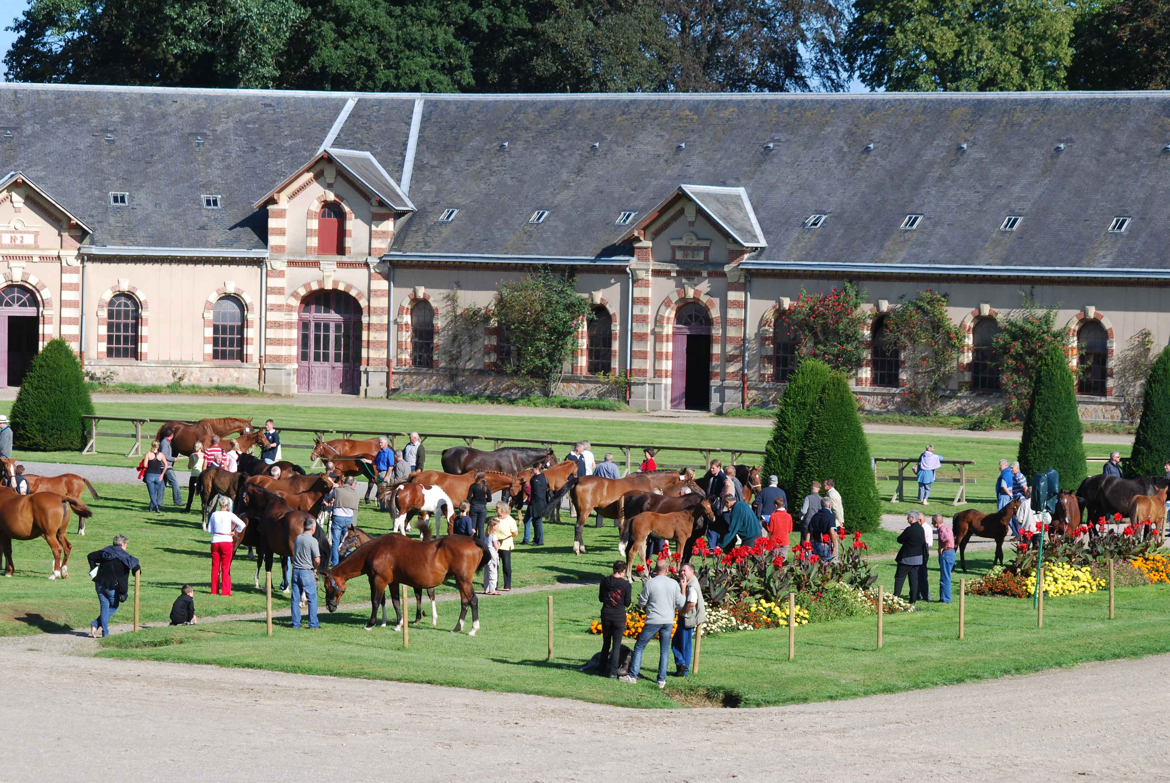 What are the regulations governing equestrian gatherings