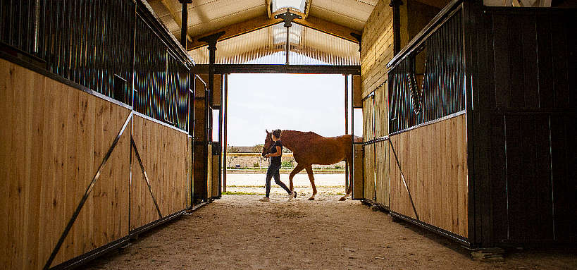 cheval femme ecurie © A. Bassaler