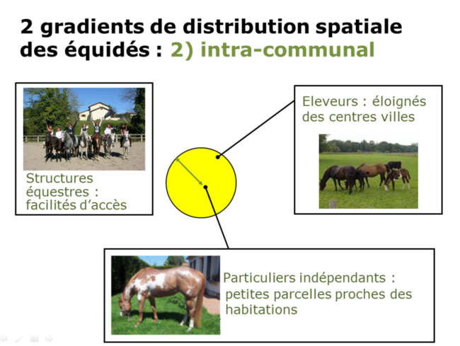 Distribution spatiale des équidés : gradient intra-communal 