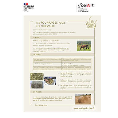 Les fourrages pour les chevaux