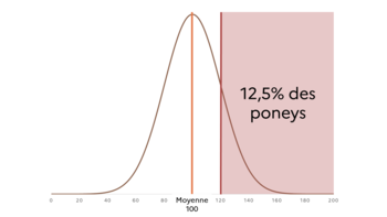 Indice de performance poney ≥ 120