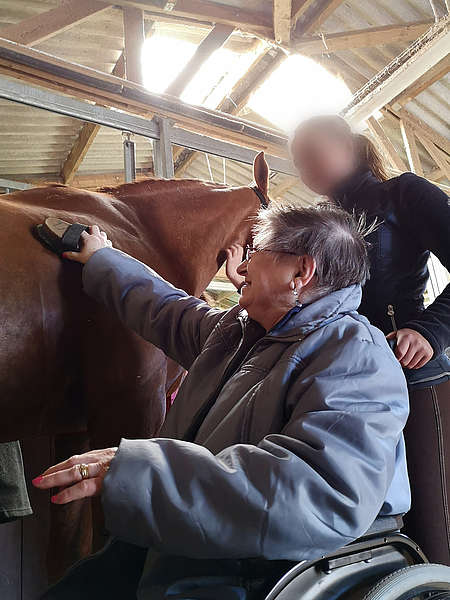 Pansage d’un cheval avec une élève du Lycée agricole de Laval