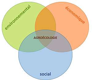 Les 3 piliers de l'agroécologie © N. Genoux, Ifce 