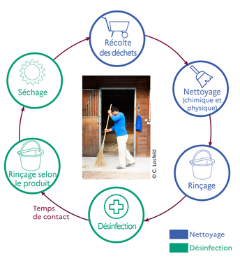 Schéma du protocole de nettoyage et de désinfection des locaux