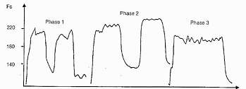 Enregistrements de la fréquence cardiaque d’un cheval au cours d’entraînements en piscine. Phase 1 : nage libre 2 x 5 min, [La]=2.3 mmol/l, phase 2 : nage intense 3.65 mmol/l 
