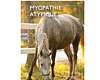 myopathie atypique
