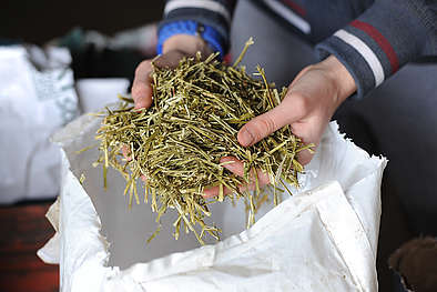 fibres de luzerne en sac