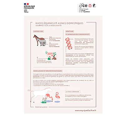 Atouts verts : races équines et asines domestiques