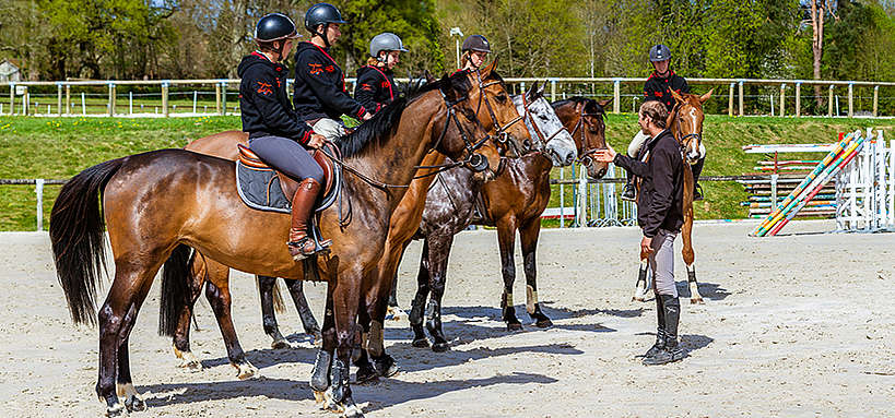 formation et enseignement de l'équitation