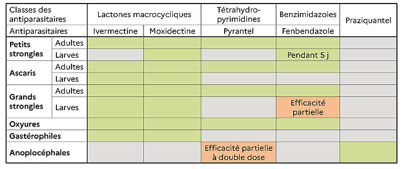 Activité des antiparasitaires disponibles en France vis-vis des principaux parasites digestifs des équidés lors de leur mise sur le marché 
