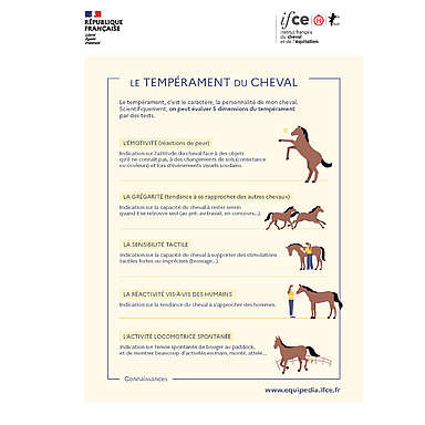 Le tempérament du cheval