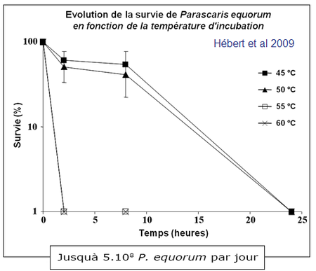 survie de Parascaris equorum en fonction du temps et de la température