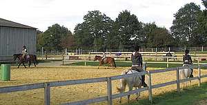 Cours d'équitation en carrière © A.C. Grison,IFce 