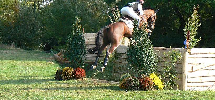 Concurrent sur l’épreuve du championnat du monde des jeunes chevaux (6 et 7 ans, le Lion d'Angers) © P. Galloux