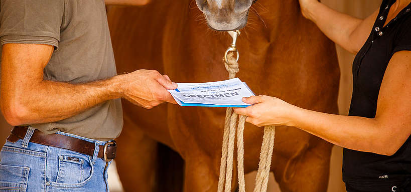 Vente de chevaux, échange des papiers d'immatriculation