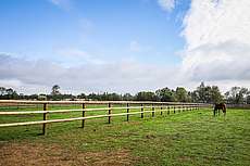 clôtures équestres