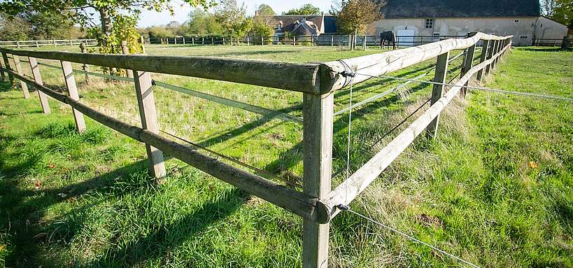 clôtures équestres