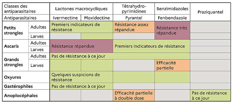 Activité des antiparasitaires disponibles en France vis-vis des principaux parasites digestifs des équidés de nos jours suite au développement des résistances