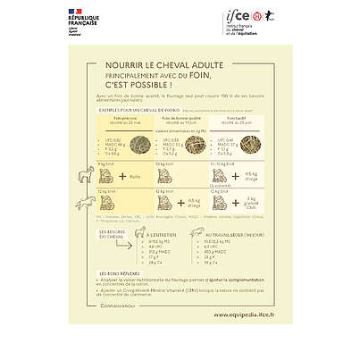 Nourrir le cheval principalement avec du foin, c’est possible