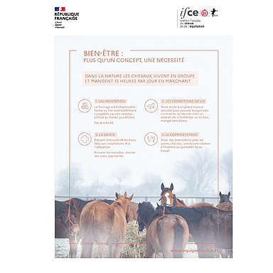 Bien-être : plus qu’un concept, une nécessité