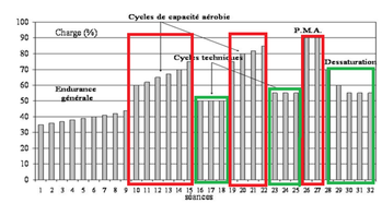 Alternance de cycles intenses (rouge) et de cycles de récupération (vert) 