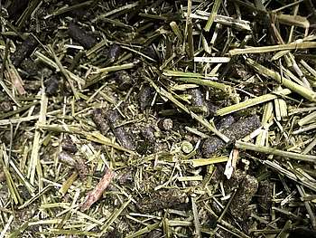 aliment avec bouchons et fibres de luzerne