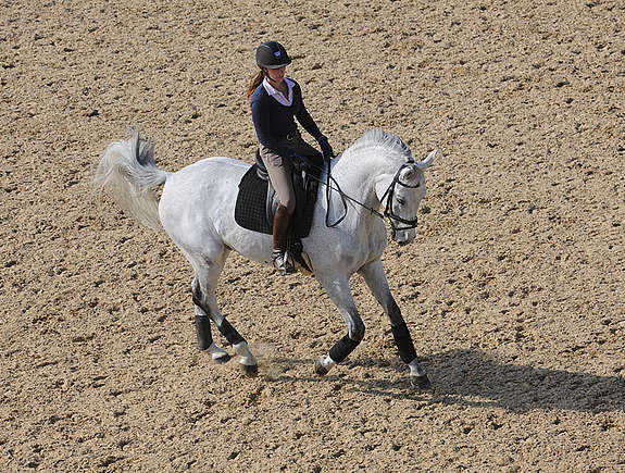 Départ au galop par prise d’équilibre